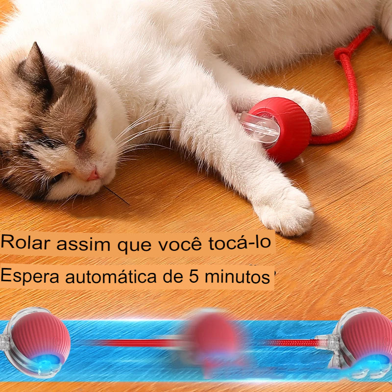 Feline Roller - Bola de Rolamento Automático