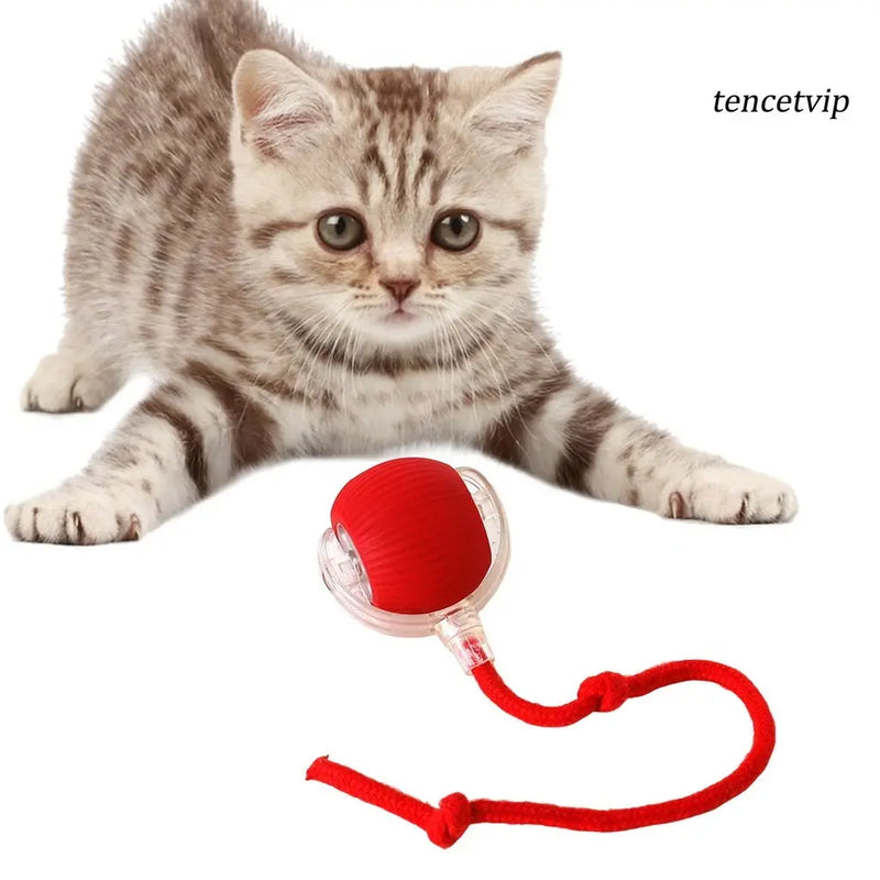Feline Roller - Bola de Rolamento Automático